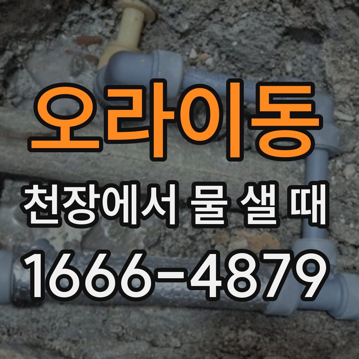 오라이동 천장에서 물 샐 때