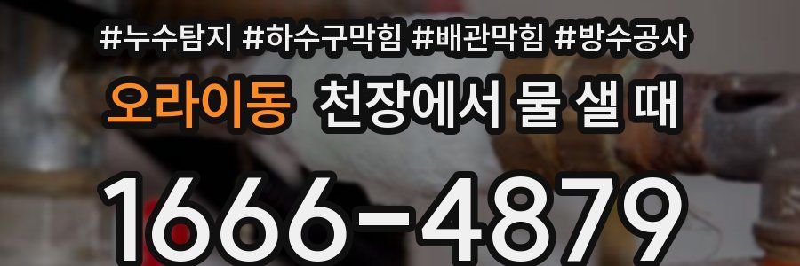 오라이동 천장에서 물 샐 때