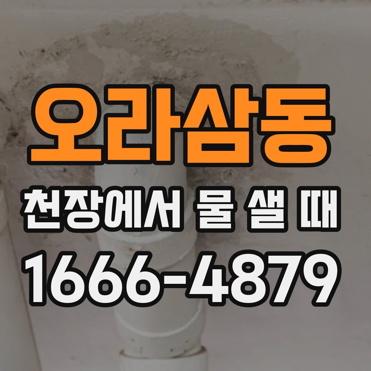 오라삼동 천장에서 물 샐 때