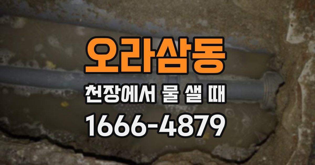 오라삼동 천장에서 물 샐 때