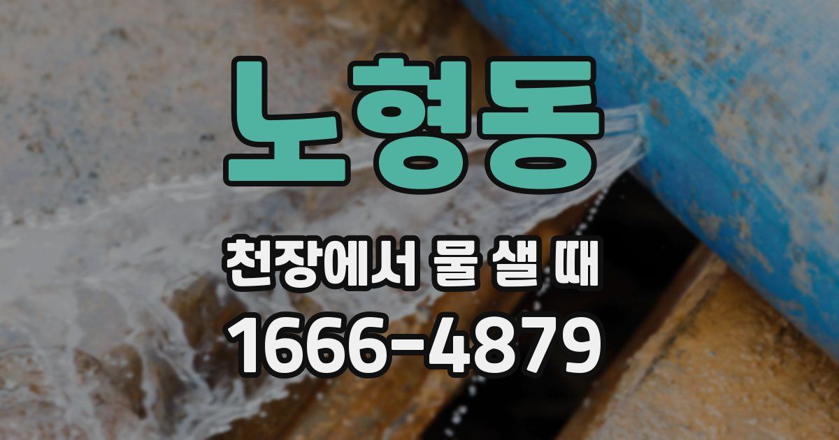 노형동 천장에서 물 샐 때