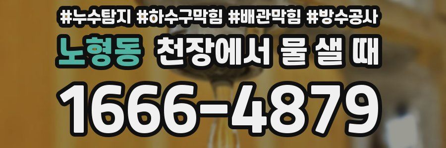 노형동 천장에서 물 샐 때