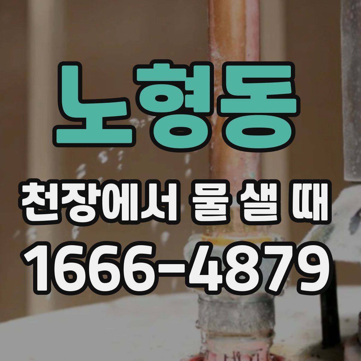 노형동 천장에서 물 샐 때