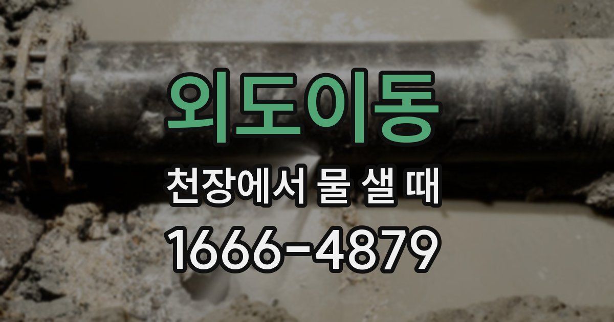 외도이동 천장에서 물 샐 때