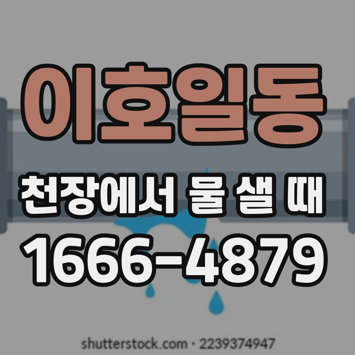이호일동 천장에서 물 샐 때
