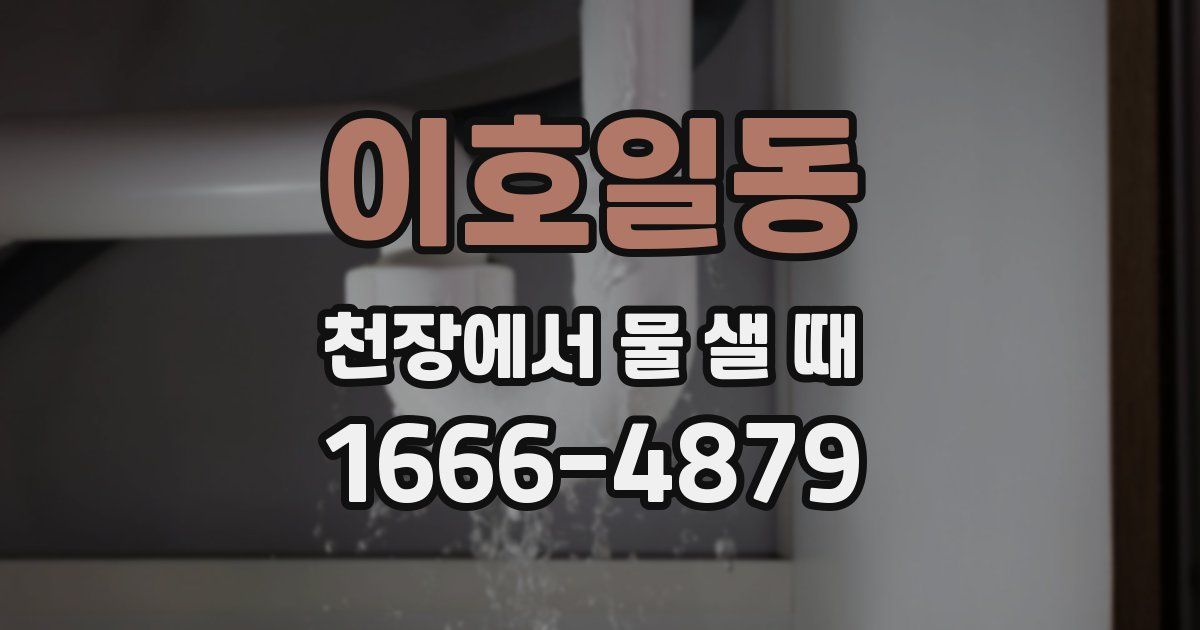 이호일동 천장에서 물 샐 때