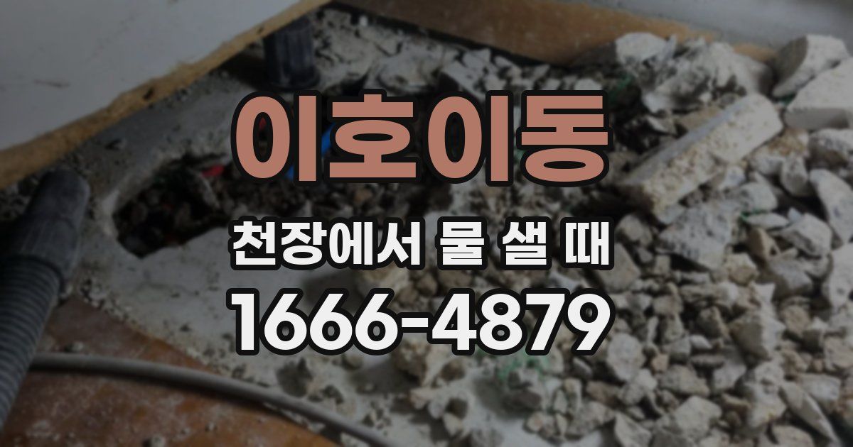 이호이동 천장에서 물 샐 때
