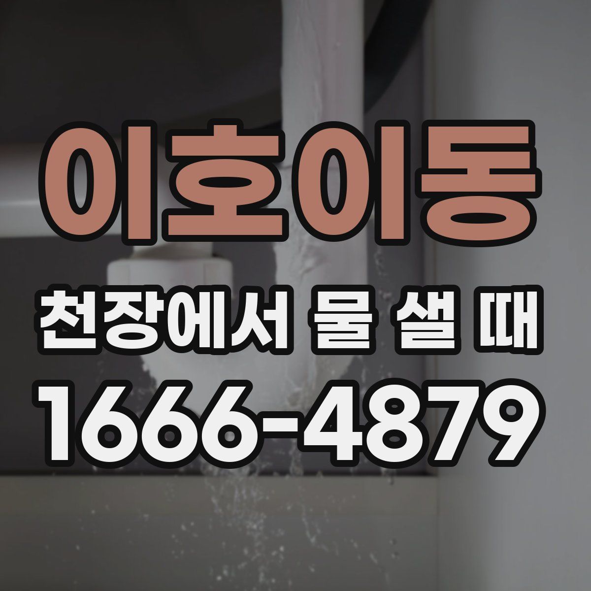 이호이동 천장에서 물 샐 때