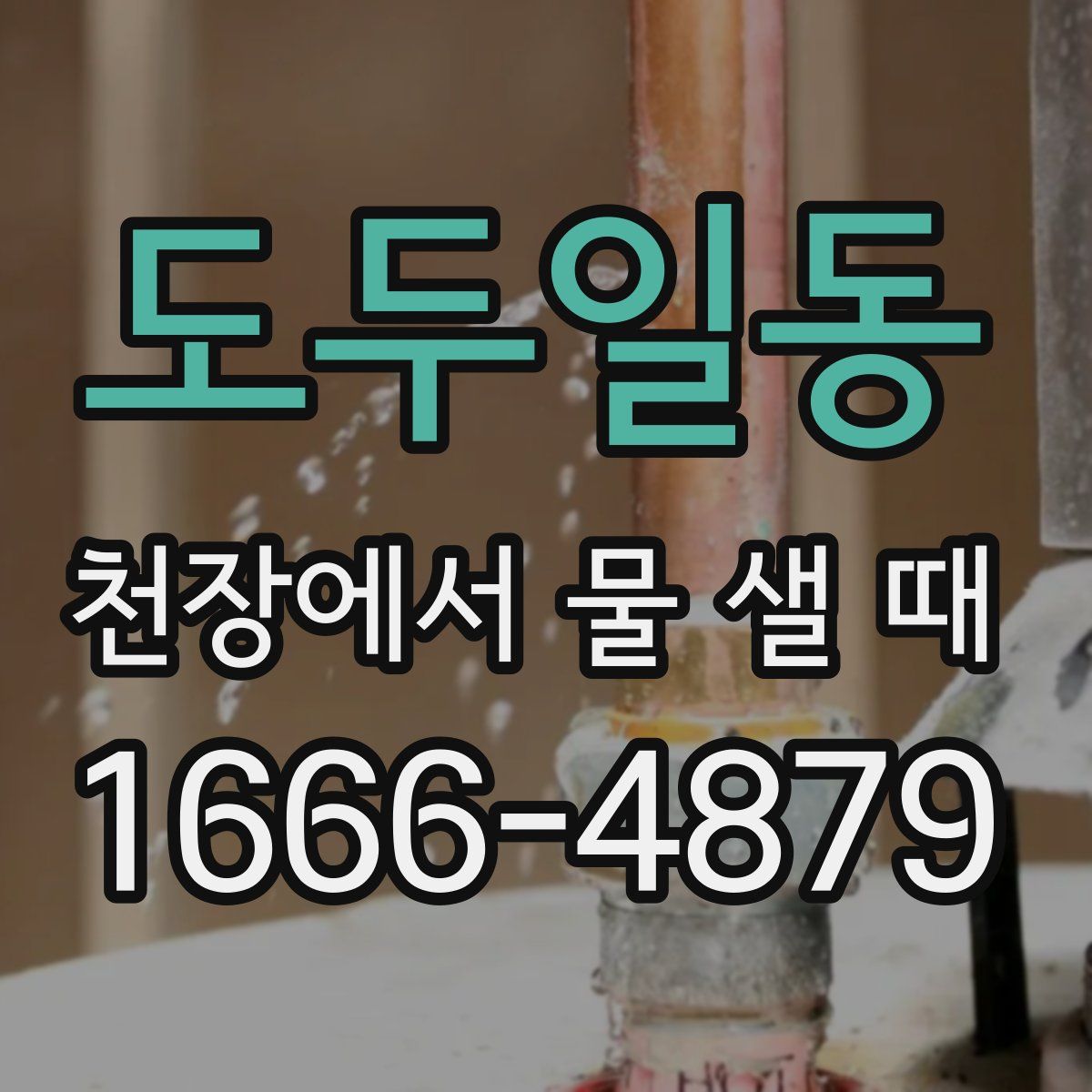 도두일동 천장에서 물 샐 때