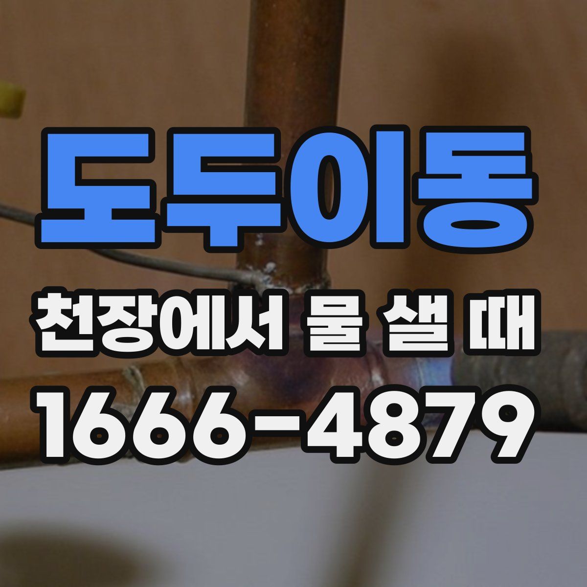 도두이동 천장에서 물 샐 때