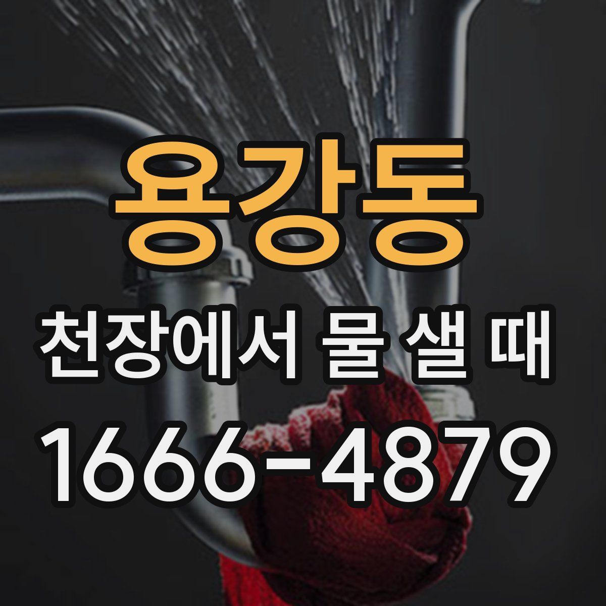 용강동 천장에서 물 샐 때