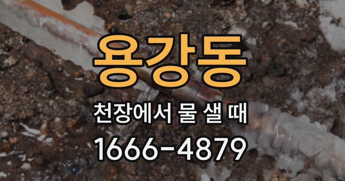 용강동 천장에서 물 샐 때