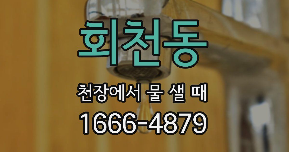 회천동 천장에서 물 샐 때