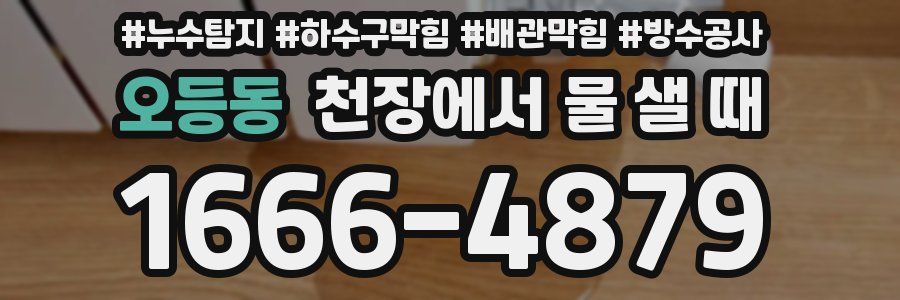오등동 천장에서 물 샐 때
