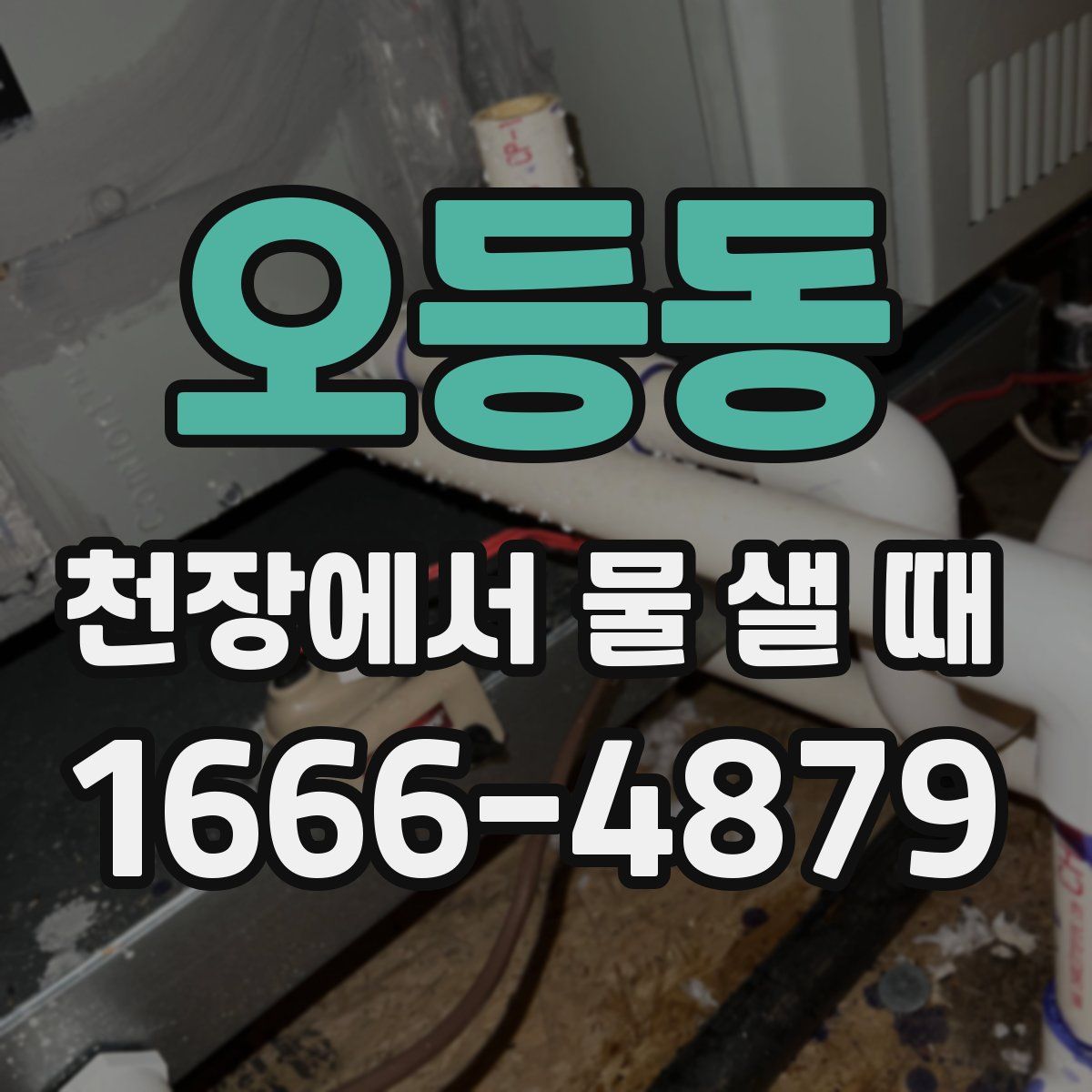 오등동 천장에서 물 샐 때