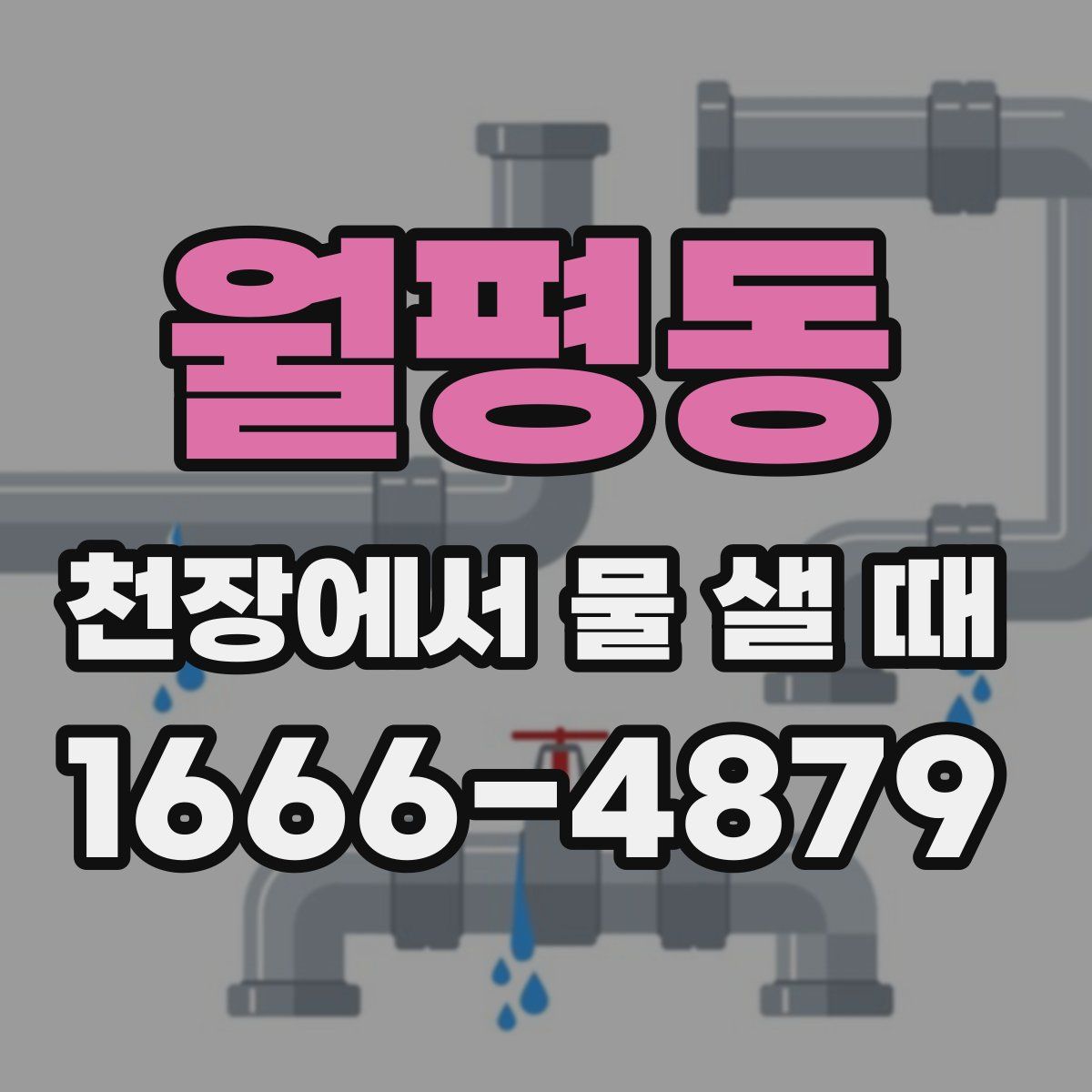 월평동 천장에서 물 샐 때