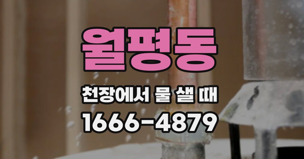 월평동 천장에서 물 샐 때