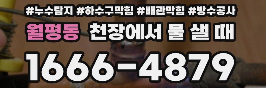 월평동 천장에서 물 샐 때