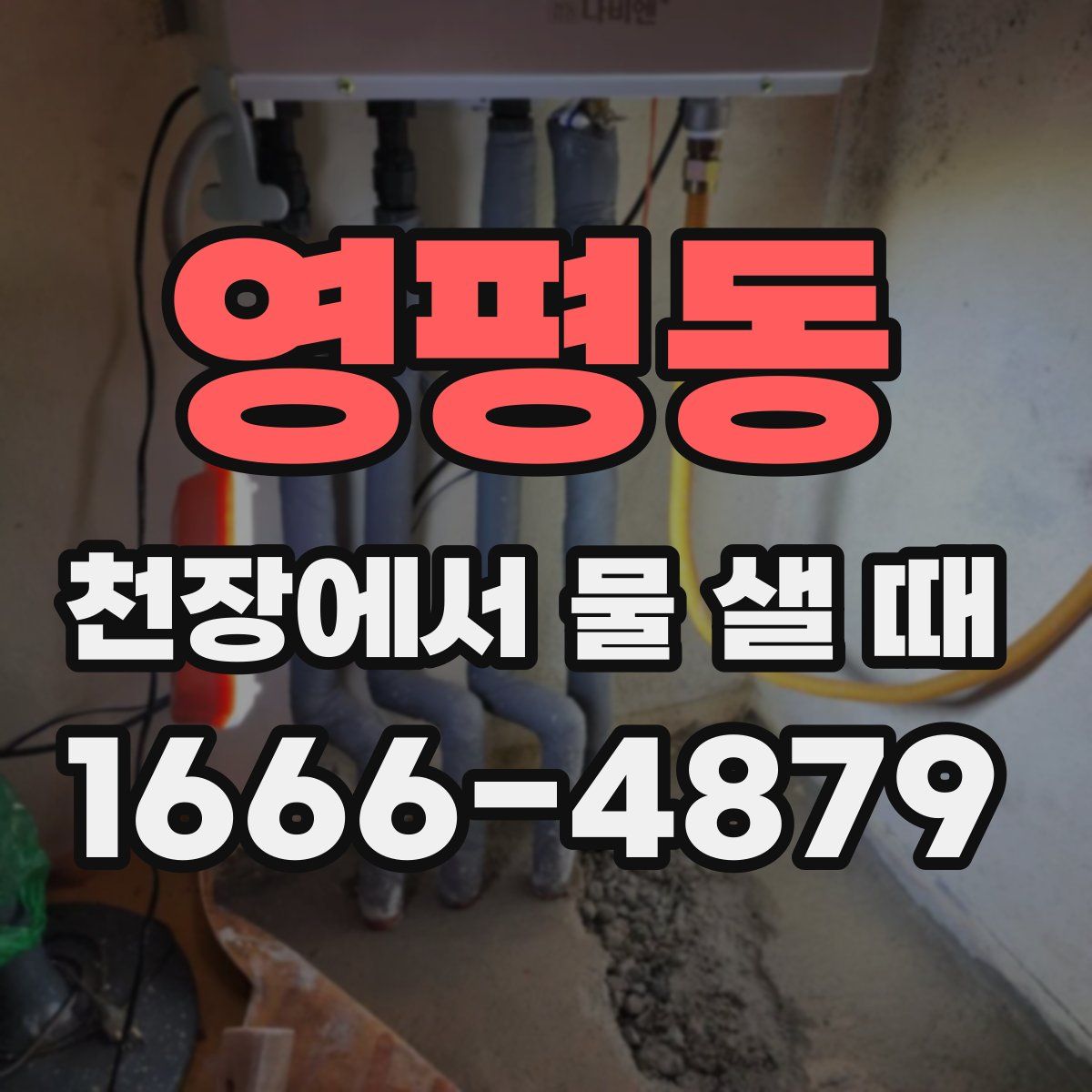 영평동 천장에서 물 샐 때