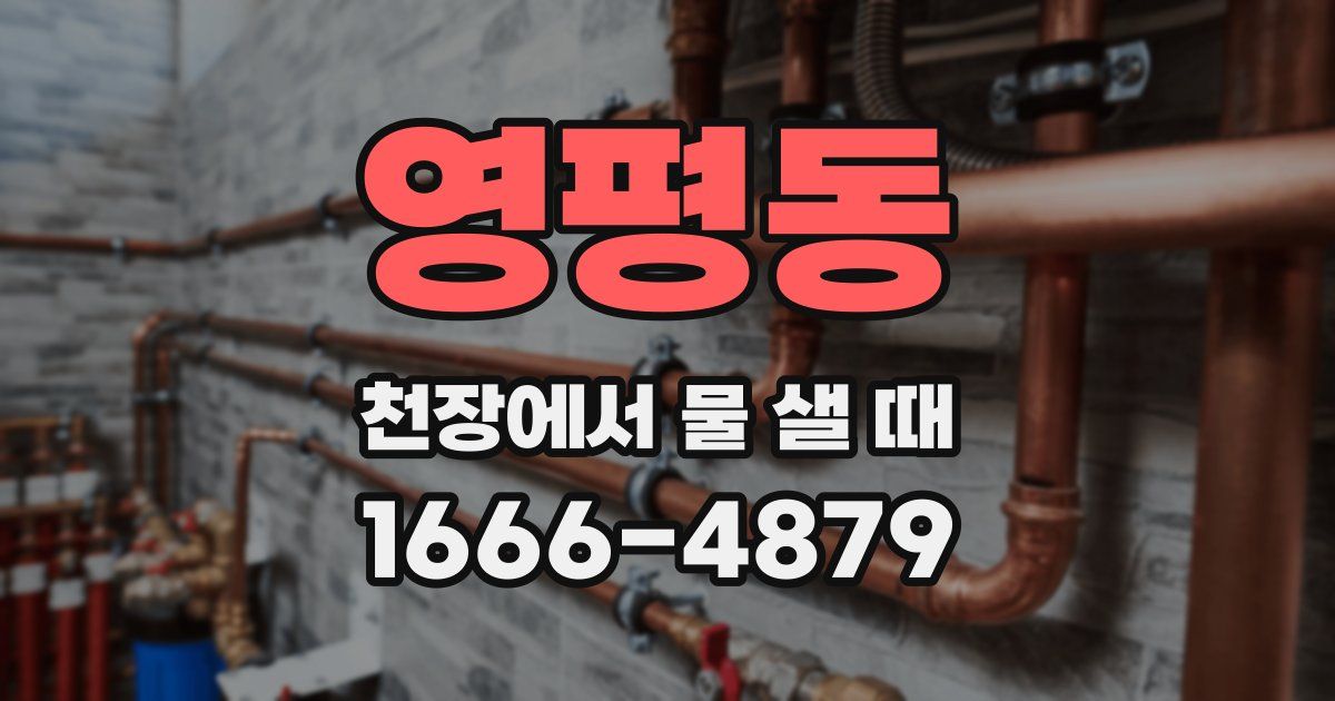 영평동 천장에서 물 샐 때