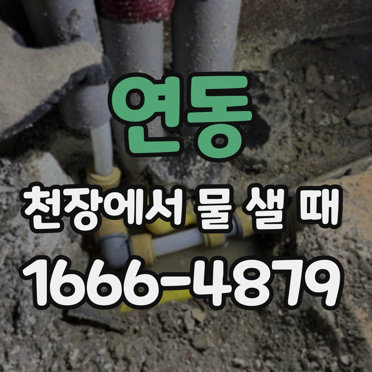 연동 천장에서 물 샐 때