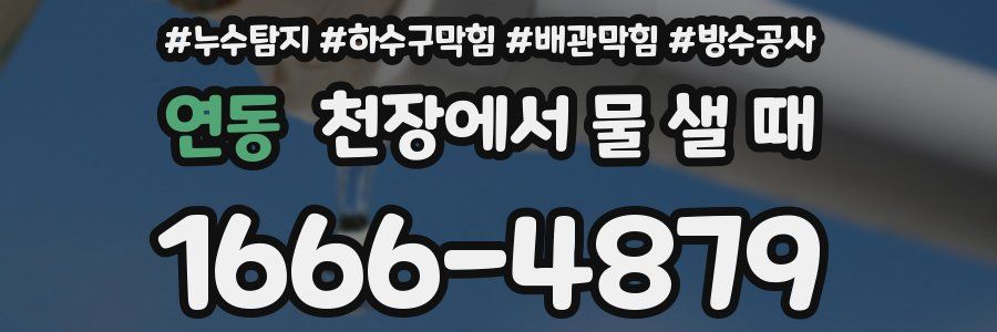 연동 천장에서 물 샐 때