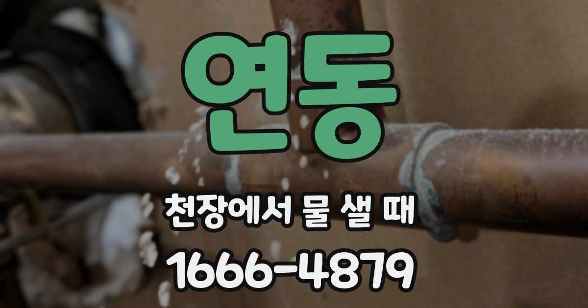 연동 천장에서 물 샐 때
