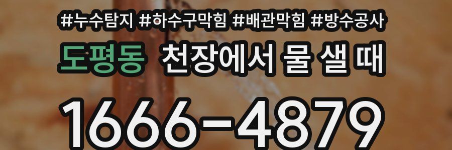 도평동 천장에서 물 샐 때