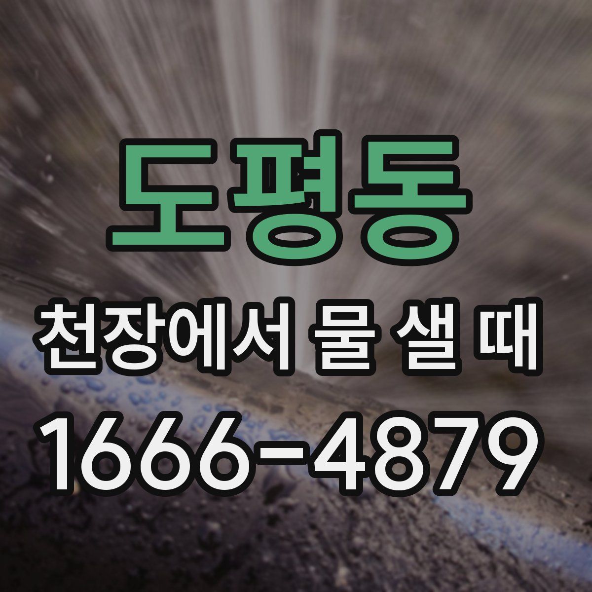 도평동 천장에서 물 샐 때