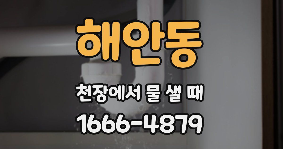 해안동 천장에서 물 샐 때
