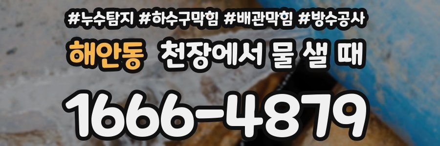 해안동 천장에서 물 샐 때