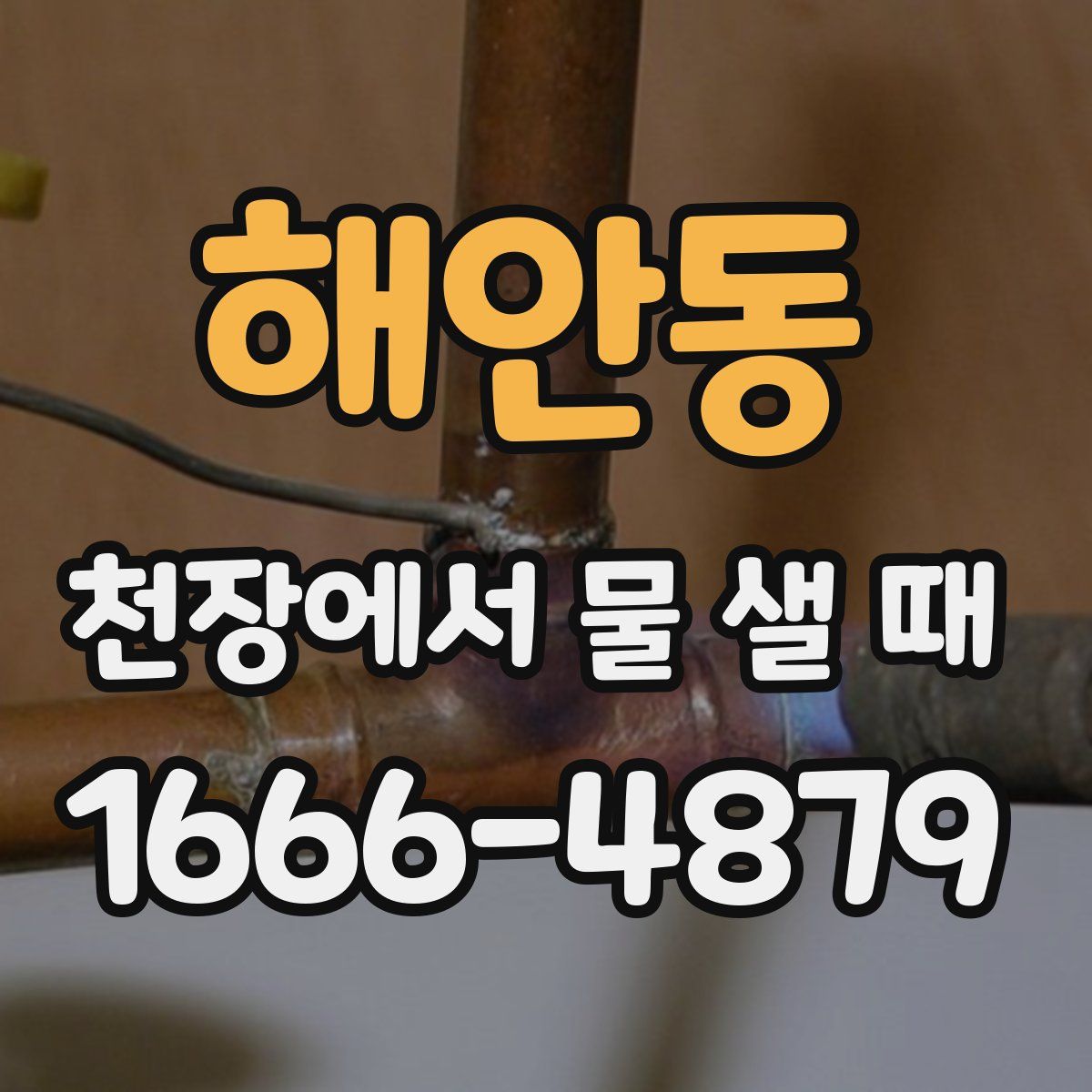 해안동 천장에서 물 샐 때