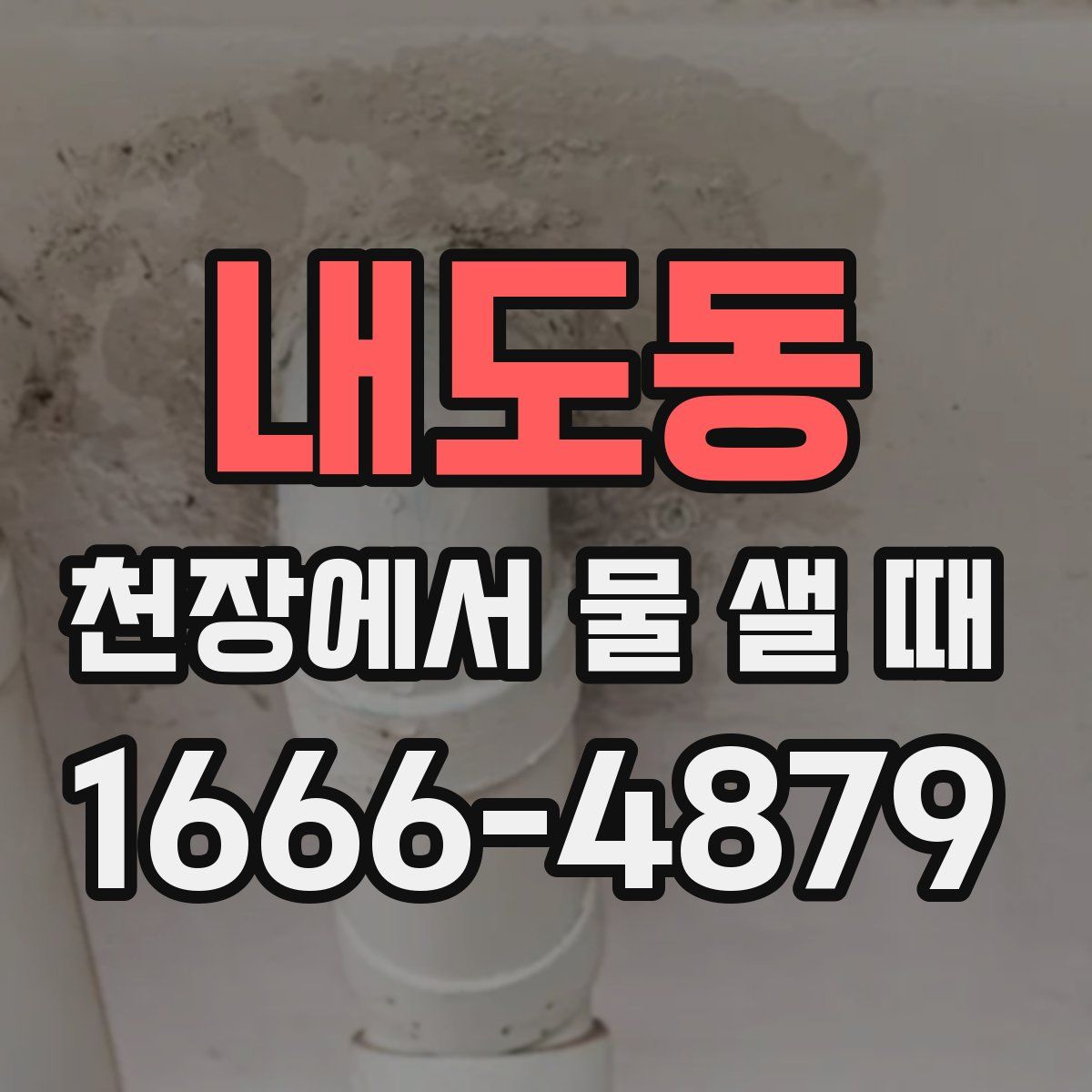 내도동 천장에서 물 샐 때