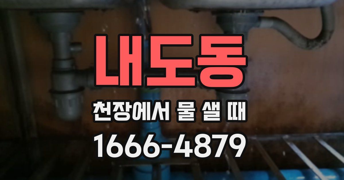 내도동 천장에서 물 샐 때