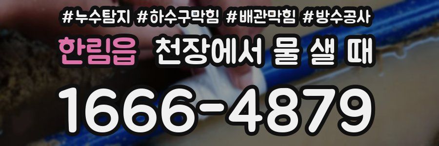 한림읍 천장에서 물 샐 때