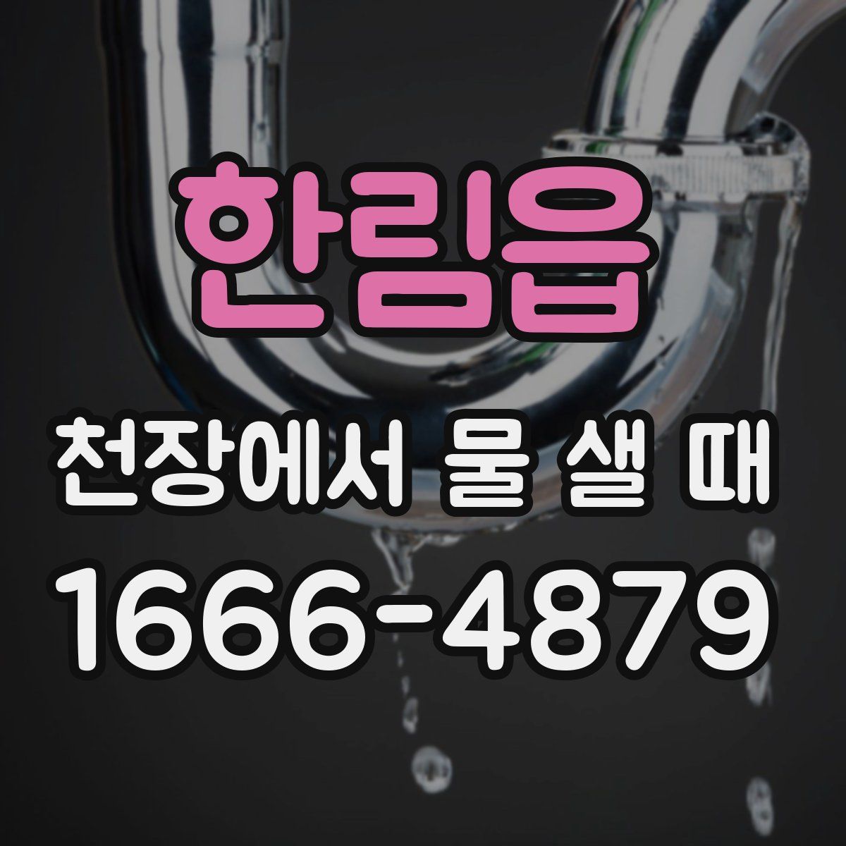 한림읍 천장에서 물 샐 때