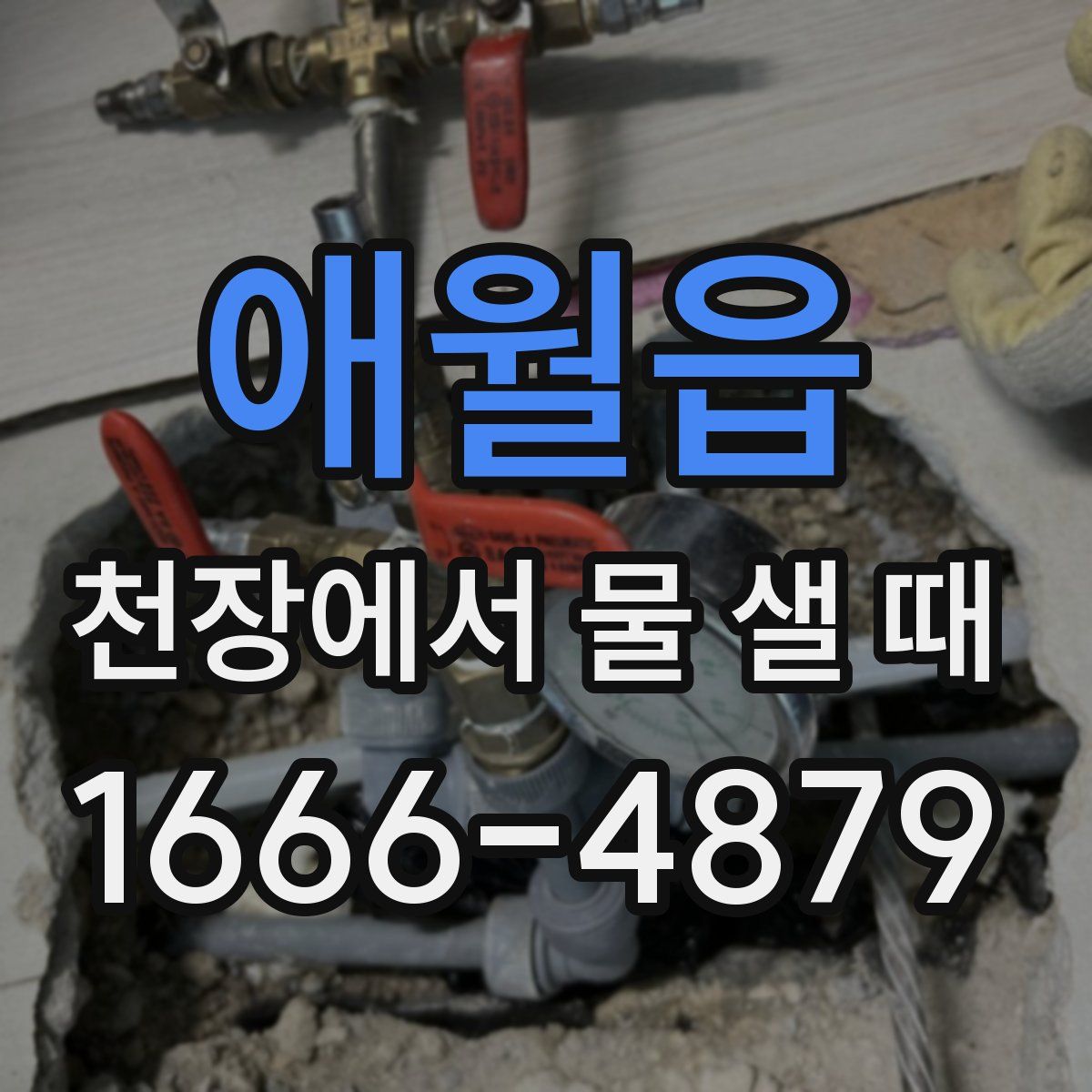애월읍 천장에서 물 샐 때