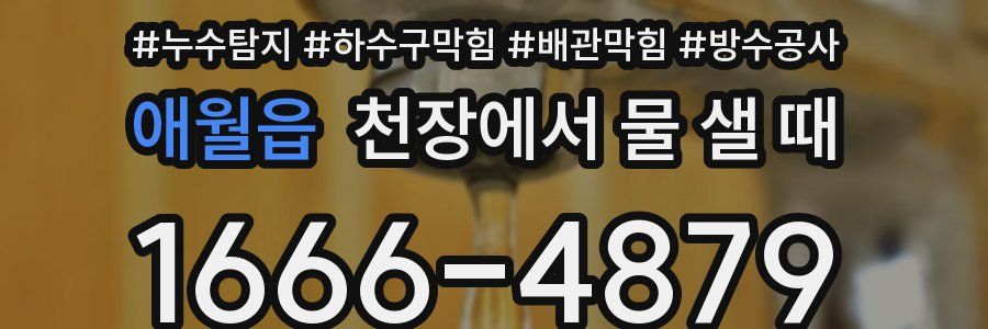 애월읍 천장에서 물 샐 때