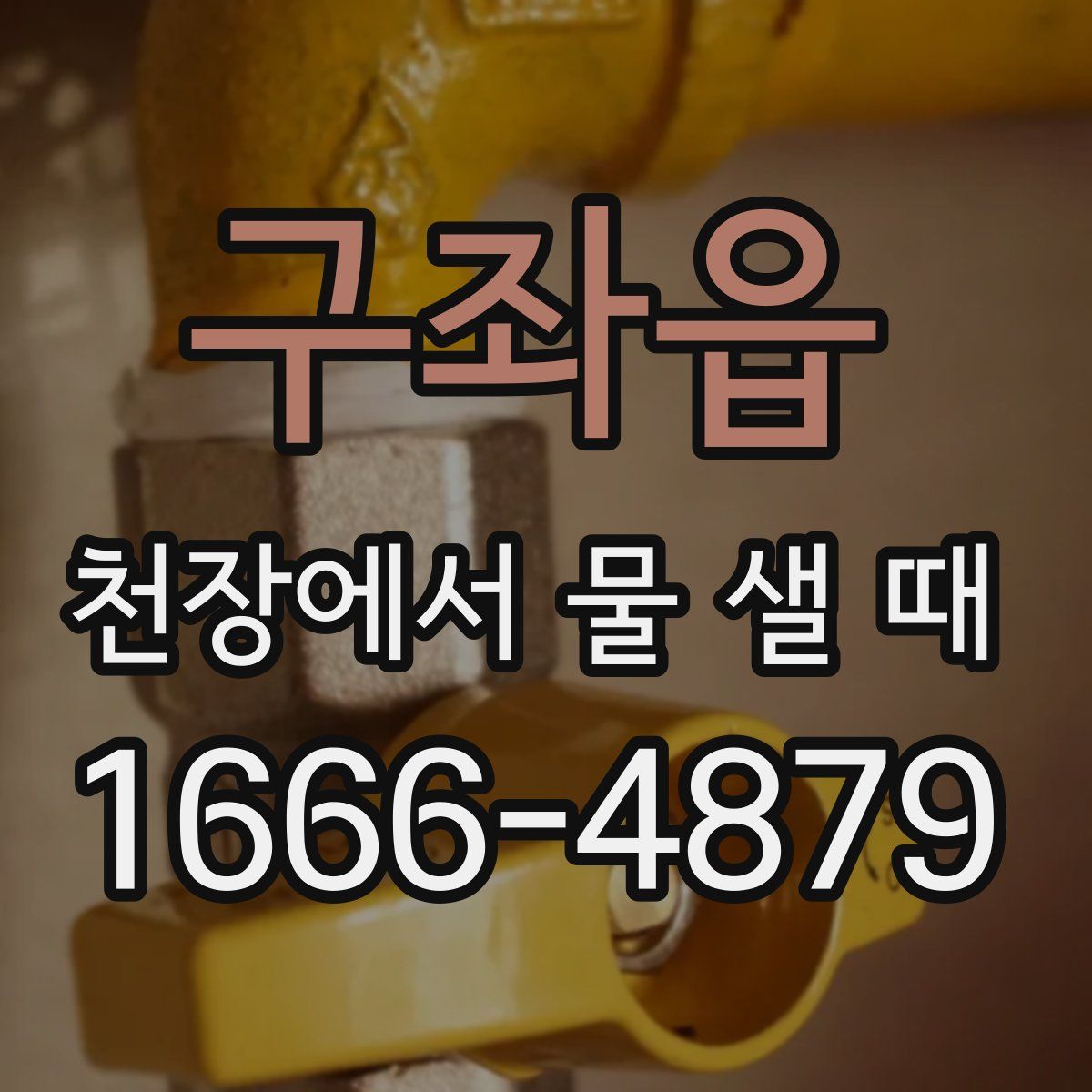 구좌읍 천장에서 물 샐 때
