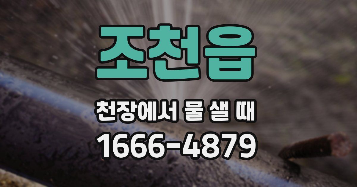 조천읍 천장에서 물 샐 때