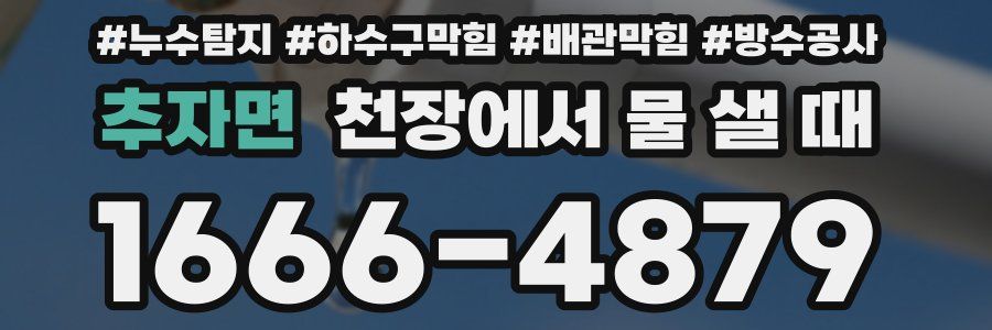 추자면 천장에서 물 샐 때