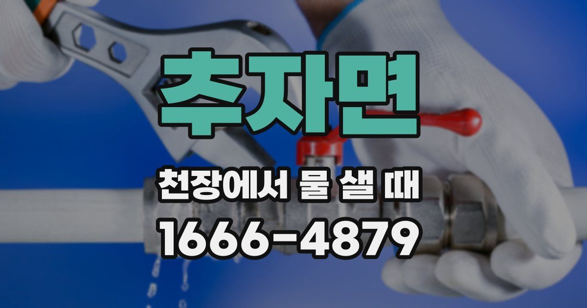추자면 천장에서 물 샐 때