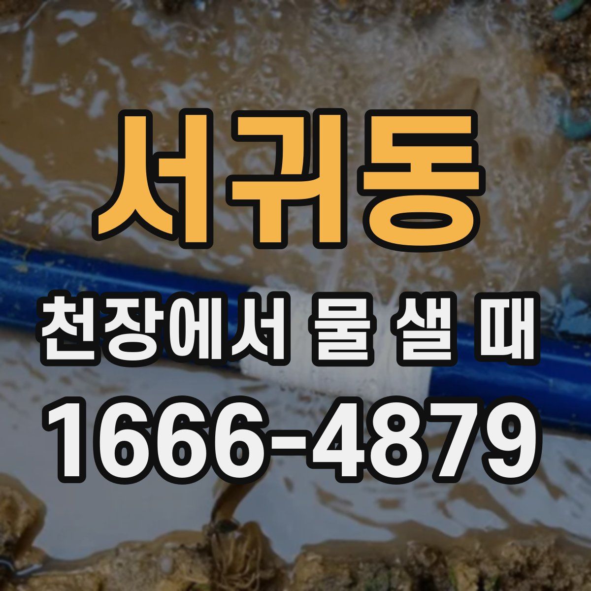 서귀동 천장에서 물 샐 때