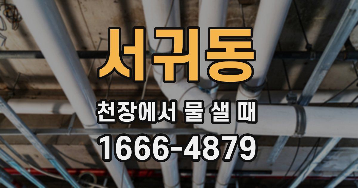 서귀동 천장에서 물 샐 때
