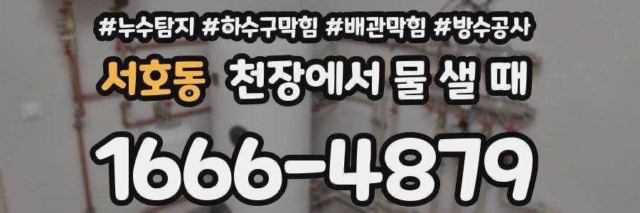 서호동 천장에서 물 샐 때