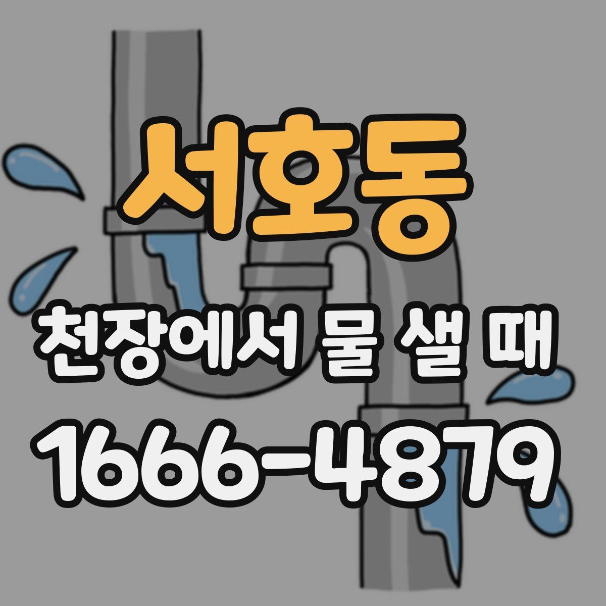 서호동 천장에서 물 샐 때