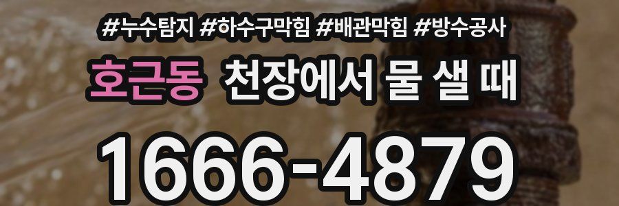호근동 천장에서 물 샐 때