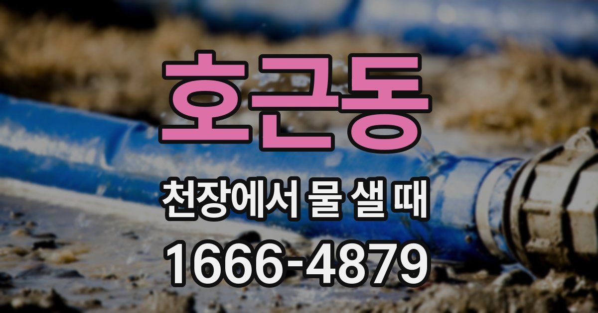 호근동 천장에서 물 샐 때