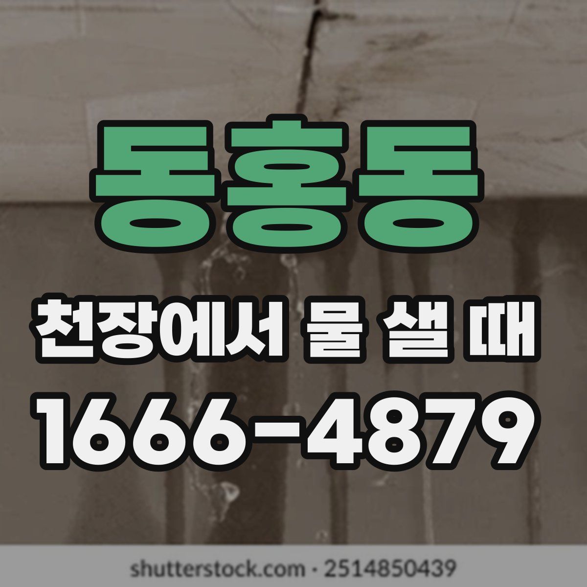 동홍동 천장에서 물 샐 때