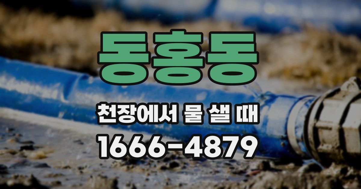 동홍동 천장에서 물 샐 때